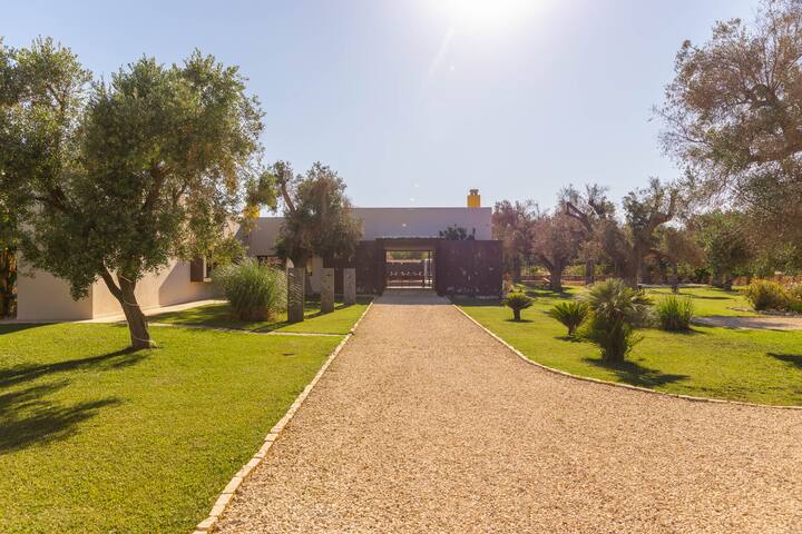 Casa IsOlé gallery image 4