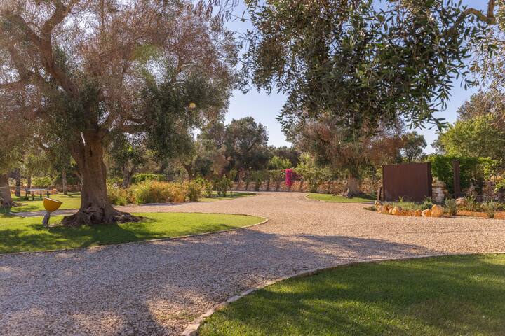 Casa IsOlé gallery image 5