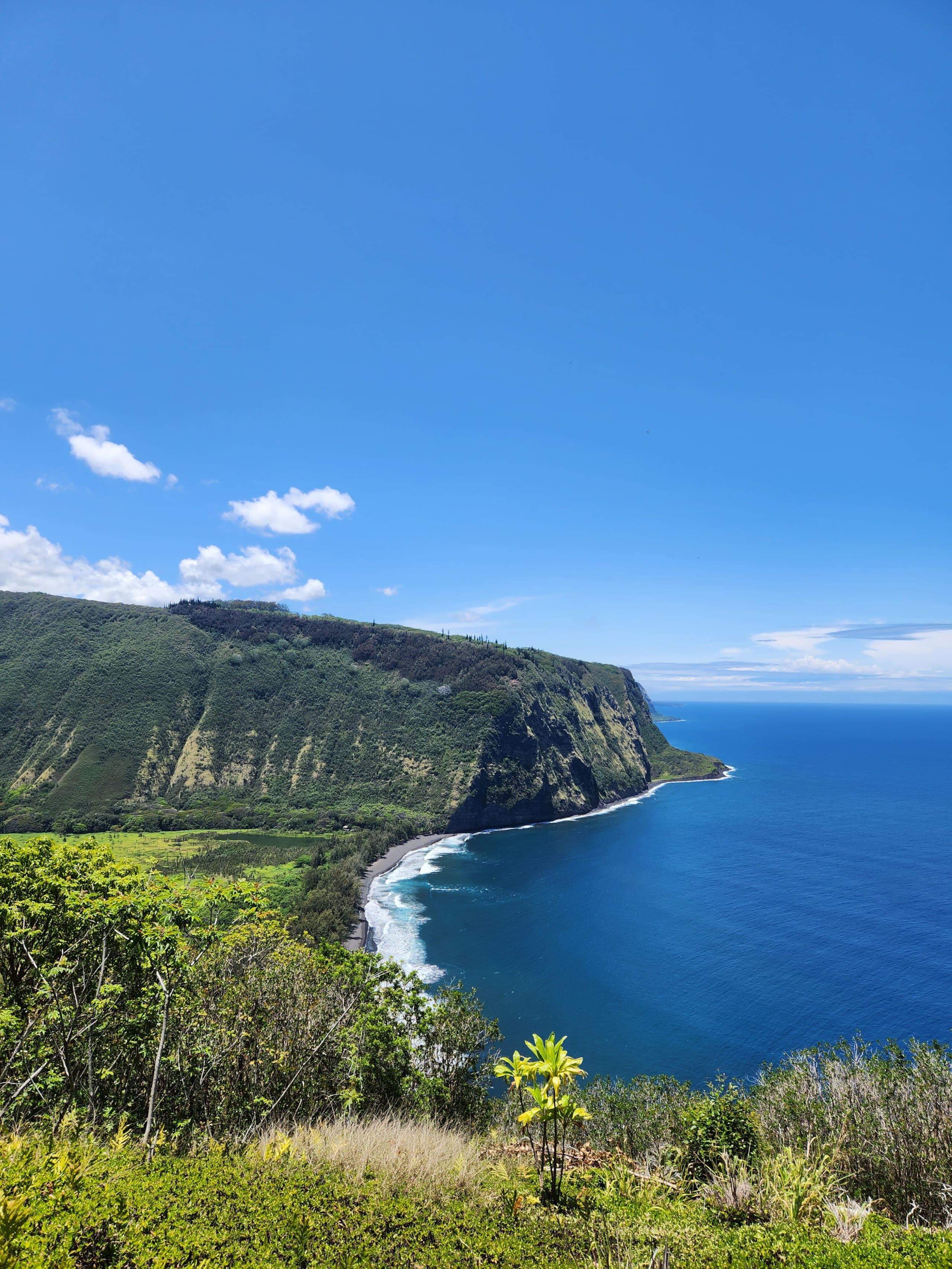 Home in Honokaa · ★4.95 · 3 bedrooms · 4 beds · 2 shared baths - Image 81