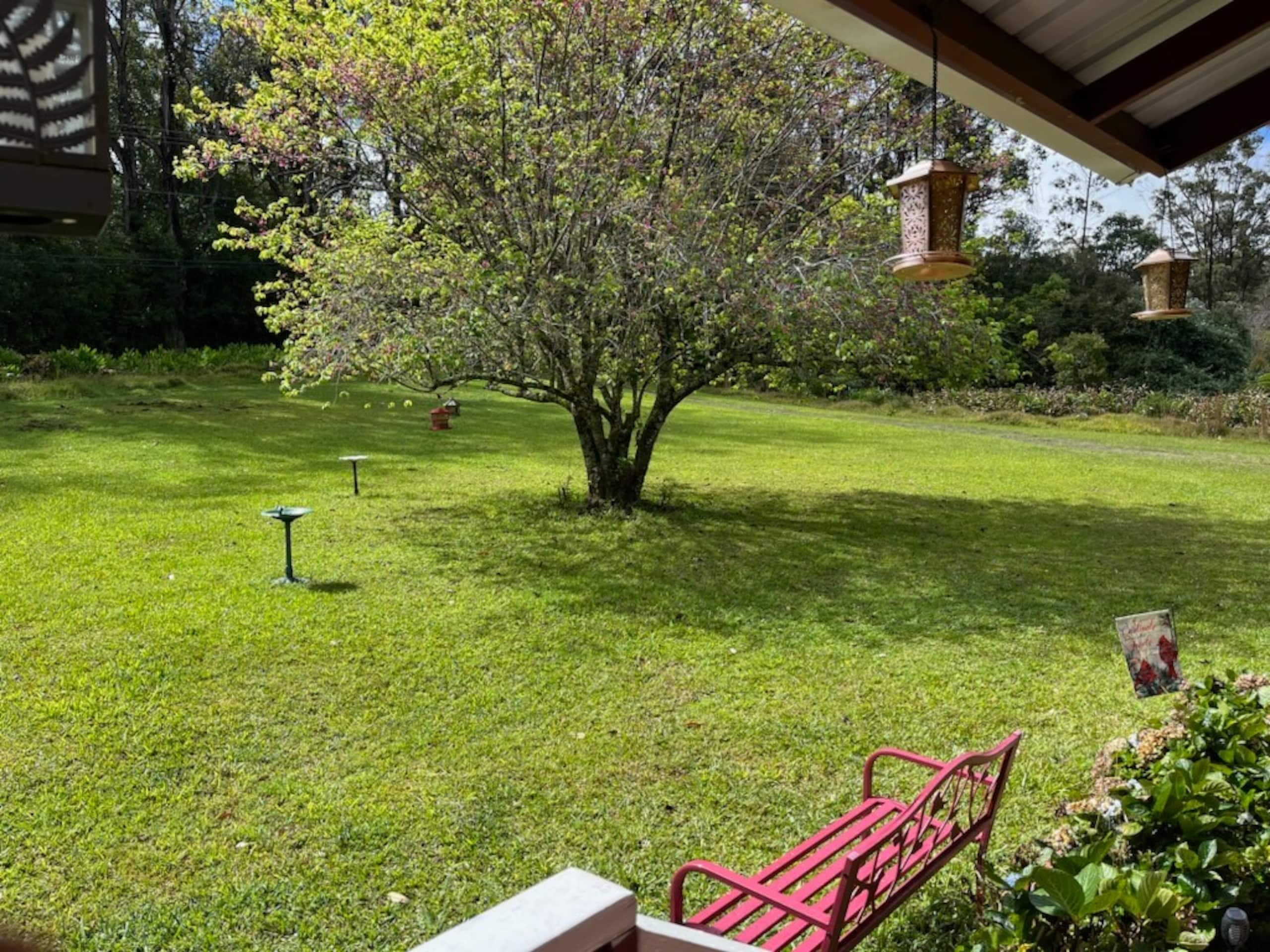 Home in Honokaa · ★4.95 · 3 bedrooms · 4 beds · 2 shared baths - Image 72