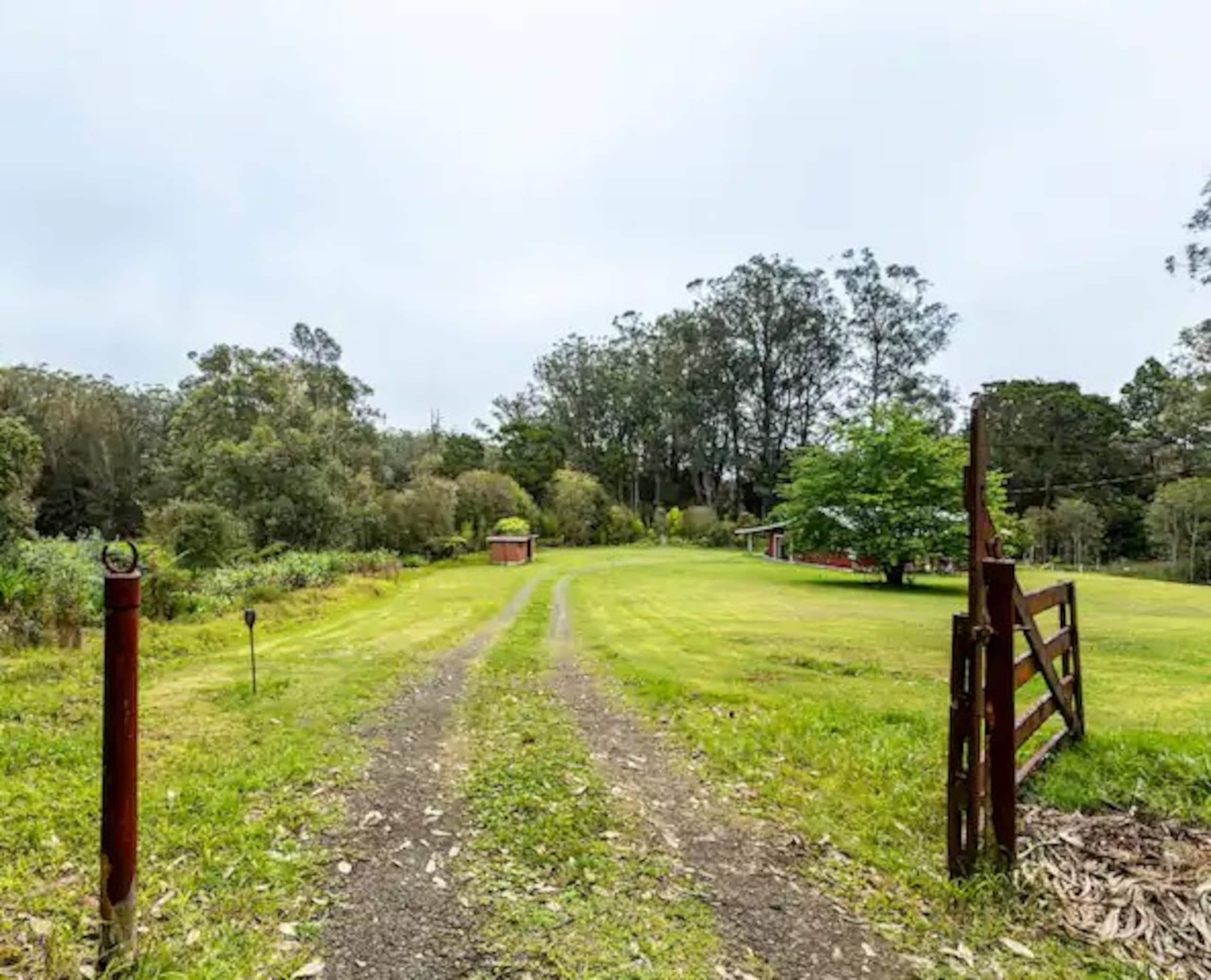 Home in Honokaa · ★4.95 · 3 bedrooms · 4 beds · 2 shared baths - Image 75