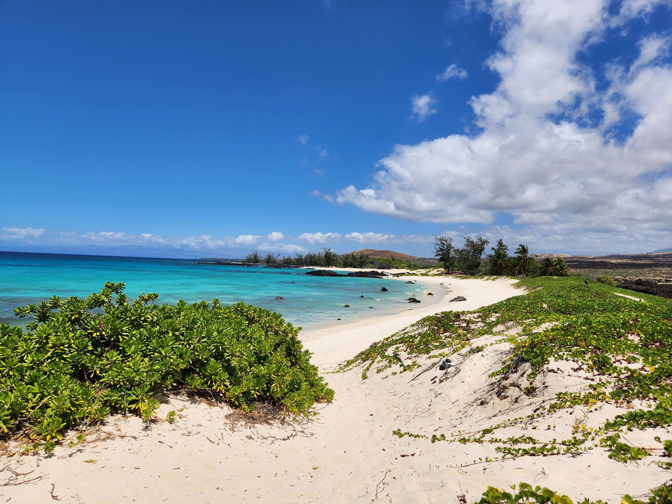 Home in Honokaa · ★4.95 · 3 bedrooms · 4 beds · 2 shared baths - Image 79