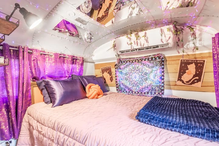 The main sleeping area features a luxurious queen bed with silk sheets, ceiling mirrors, and black lights, setting the stage for a unique and memorable stay.