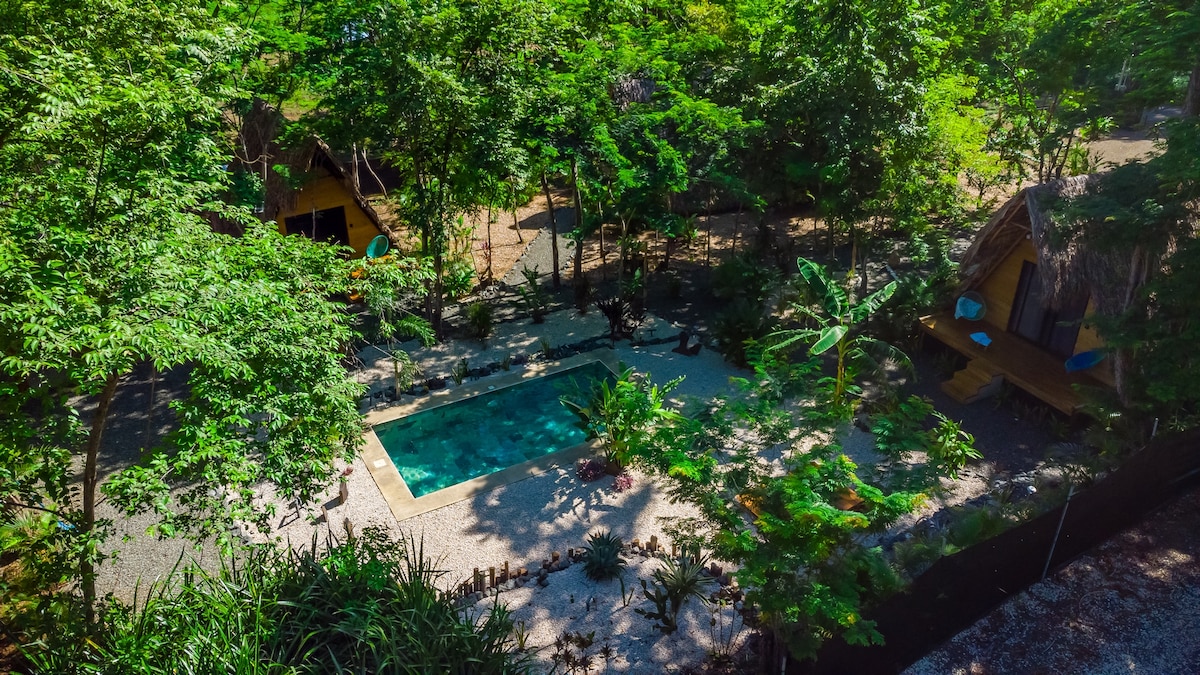 An aerial view reveals a tranquil pool surrounded by lush greenery and tropical plants. The pool is nestled within a peaceful outdoor space, complemented by rustic-style accommodations nearby, all set within a vibrant natural environment.