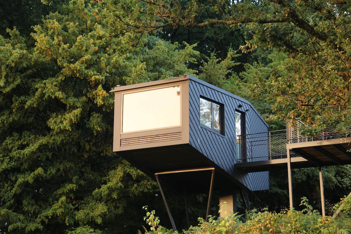 A modern treehouse is nestled among the lush greenery of the forest. The structure features a large panoramic window that offers views of the surrounding nature. A balcony extends from the living space, supported by slender stilts.