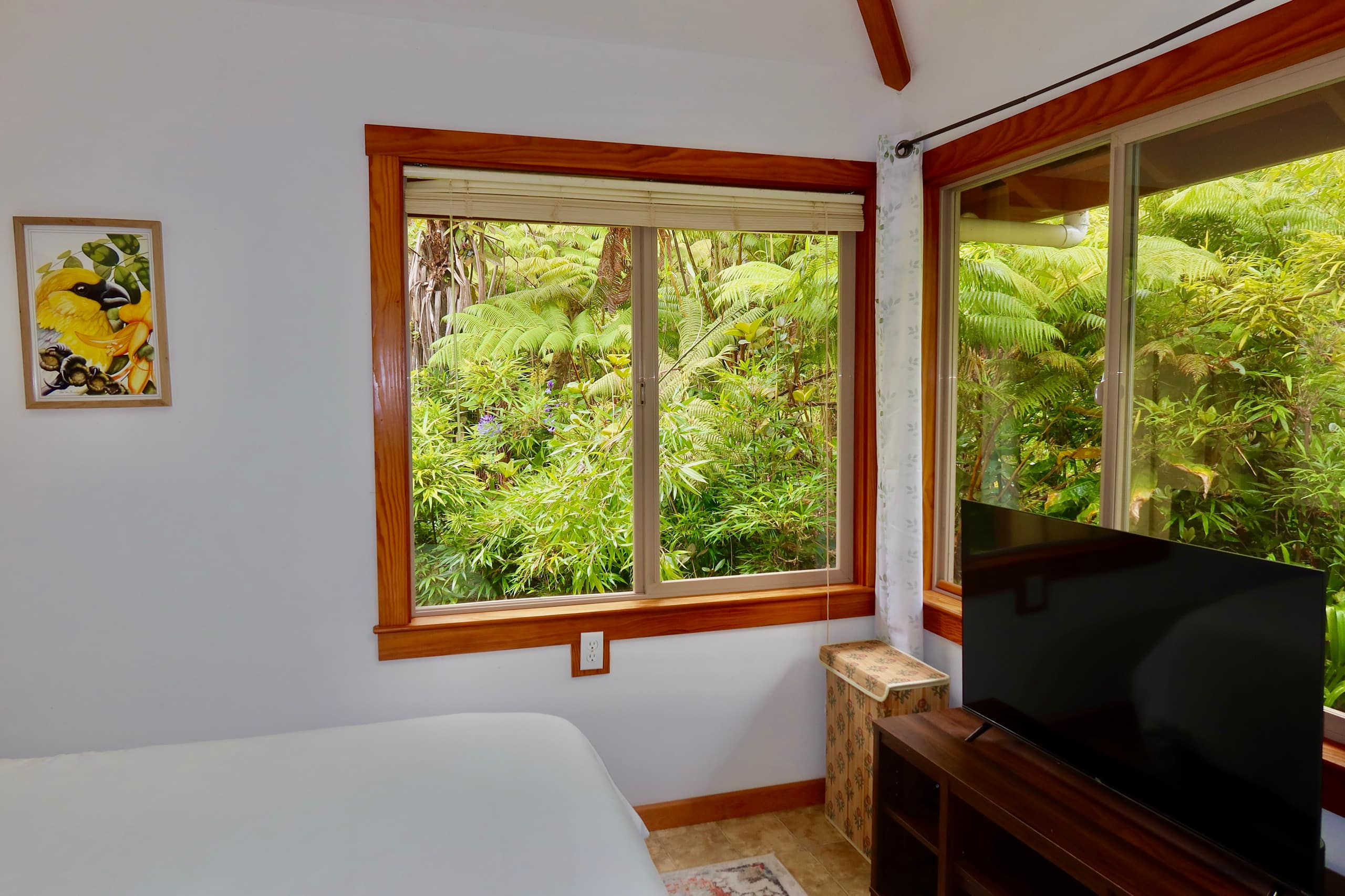 Private Home Near VNP - Nature Views & Tranquility - Photo 8