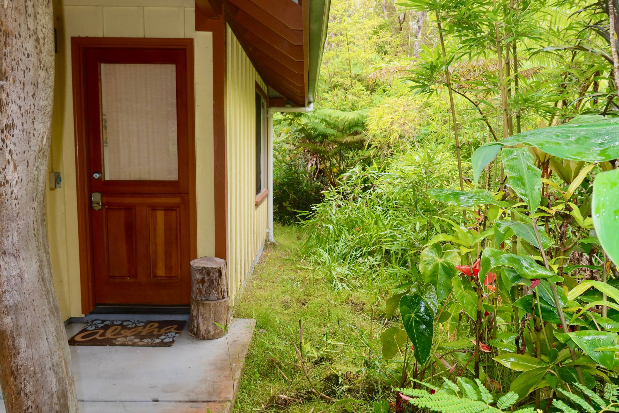 Private Home Near VNP - Nature Views & Tranquility - Photo 20