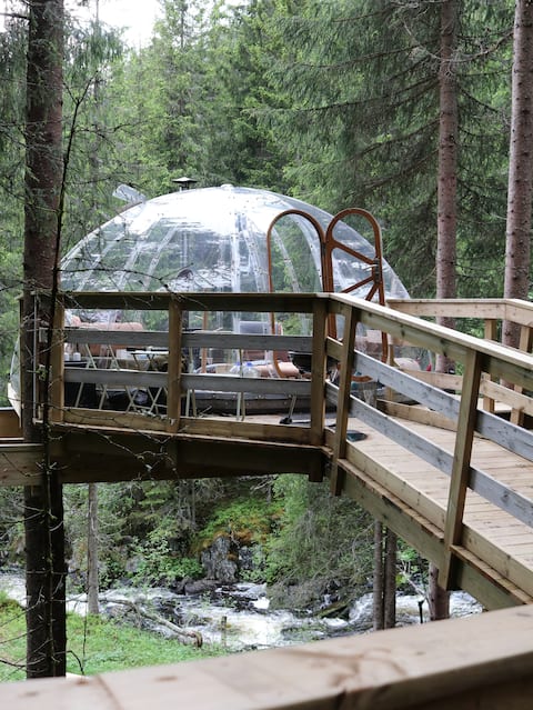 Norway's first tree top!