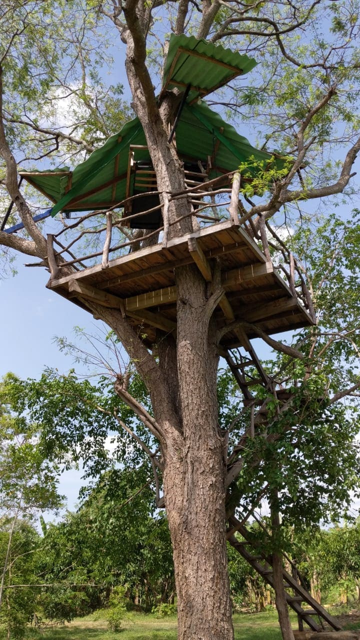 A tree house rises among vibrant green foliage, supported by a sturdy trunk. The structure features a simple wooden platform with a covered upper deck, accessible by a rustic staircase made from tree branches. A bright green roof provides shelter, enhancing the natural surroundings.