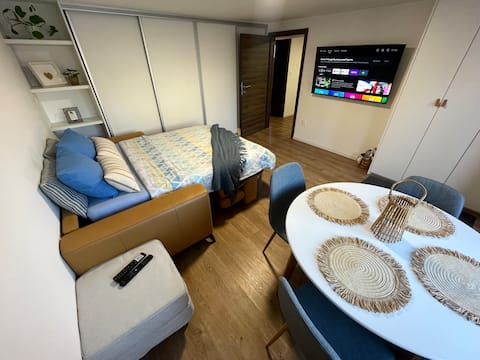 Successful Airbnb property: Home-in apartma in Četrtna Skupnost Šentvid