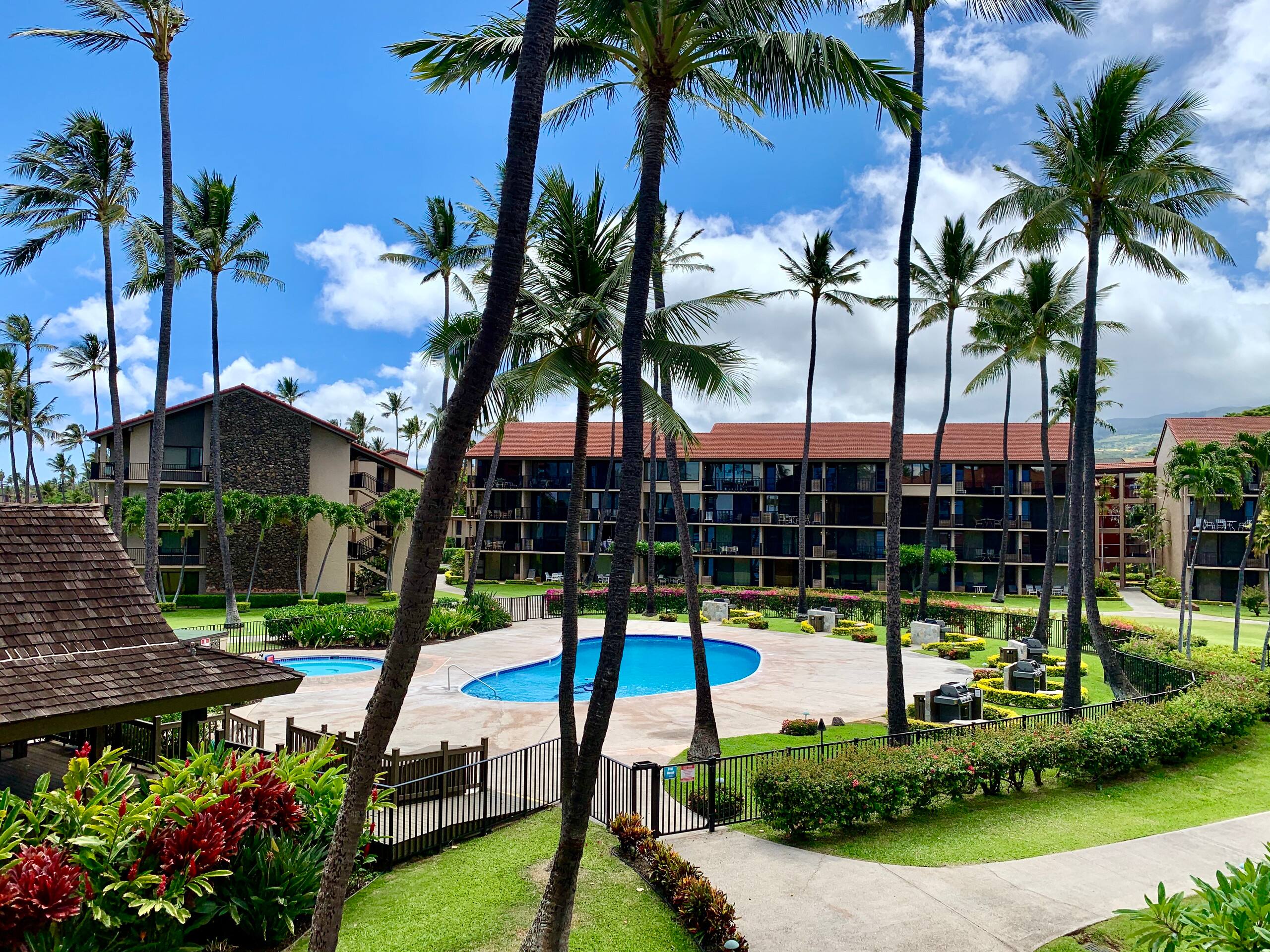 Papakea F307 - Oceanfront Studio - Kaanapali - Image 12