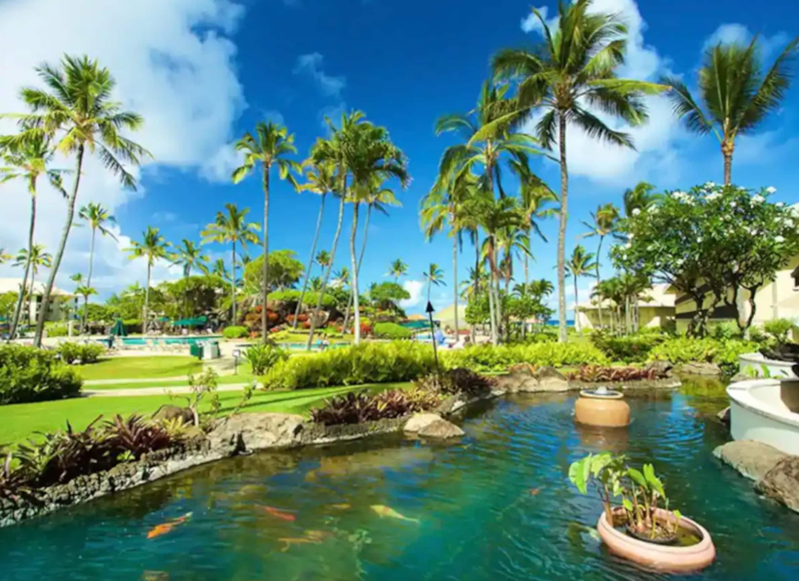 Condo in Lihue · ★4.82 · Studio · 2 beds · 1 shared bath - Image 14