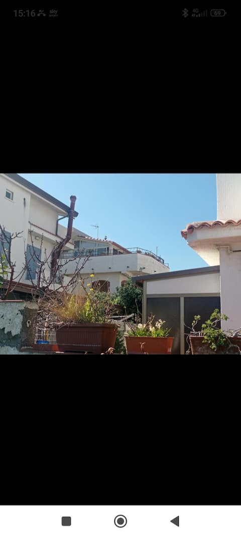 Penthouse chicken mare