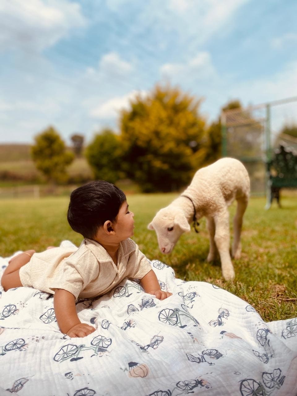 A serene outdoor scene captures a child lying on a patterned blanket in a grassy area. A friendly lamb approaches nearby, with trees and a blue sky forming a peaceful backdrop.