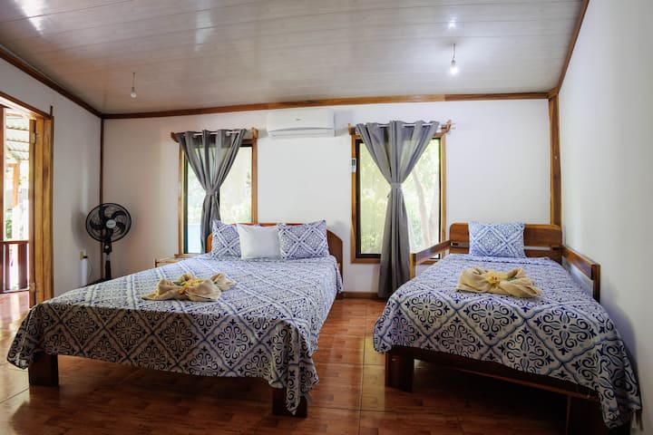 Habitación 1