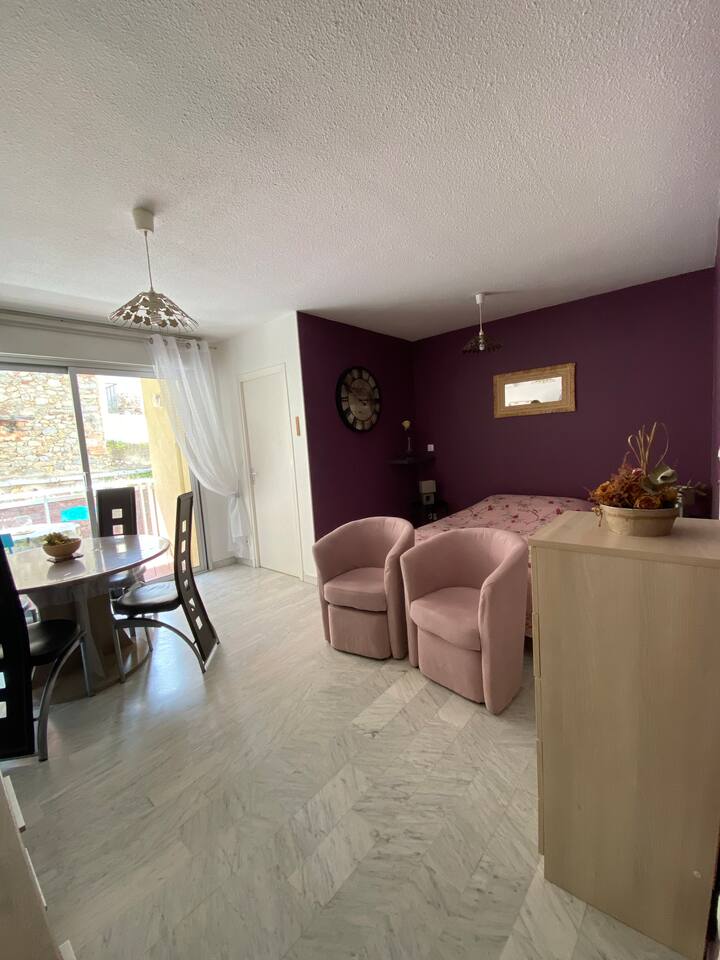 Appartement Climatisé De 28 M² Classé 2 éToiles - Amélie-les-Bains-Palalda