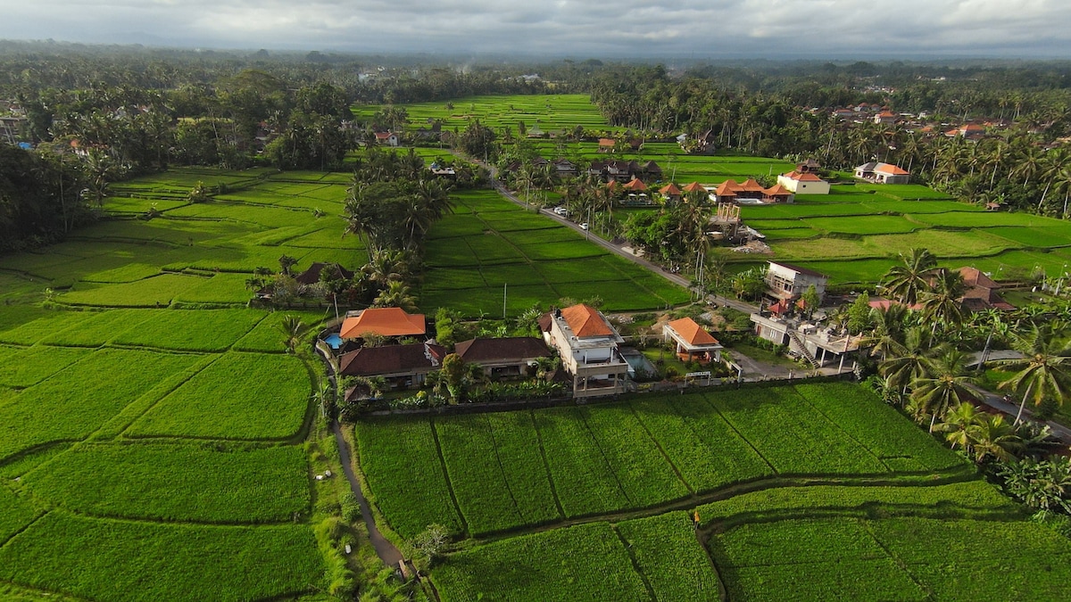 An aerial view showcases lush green rice fields stretching across the landscape, interspersed with traditional Balinese structures featuring terracotta roofs. The vibrant greenery contrasts with the clear sky, creating a serene and expansive atmosphere characteristic of the Ubud countryside.
