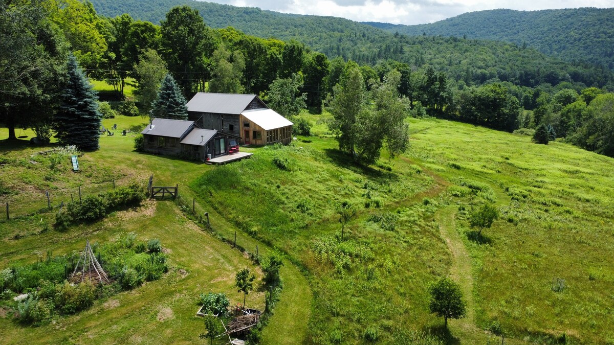 An aerial view captures the newly renovated cabin surrounded by lush greenery and rolling hills. The vibrant landscape includes farm fields and trees, showcasing a serene rural setting. The cabin features a combination of rustic stone and contemporary design, with expansive windows inviting natural light.