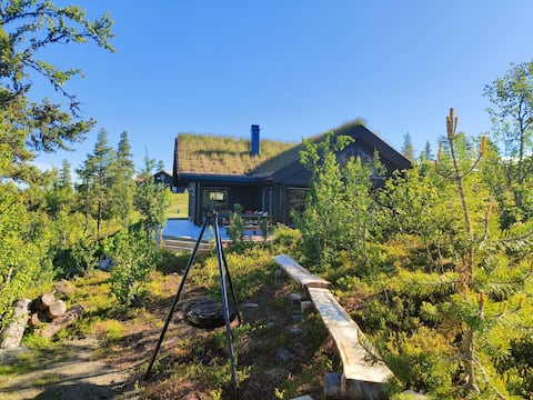 Spacious cabin on Nesfjellet, short distance to Langedrag