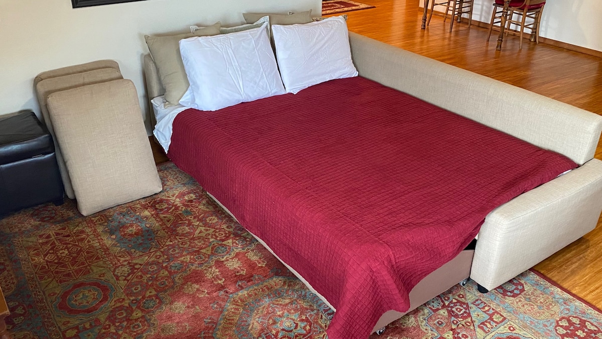 El sofá se convierte en una cama tamaño queen, e incluso hay una almohadilla cómoda adicional en el armario del dormitorio.