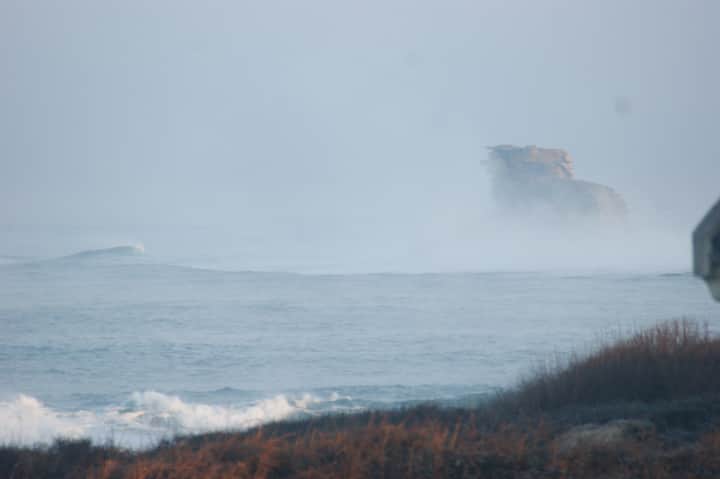 Vue mer de la chambre ''Le Corbeau'' par un matin brumeux en hiver