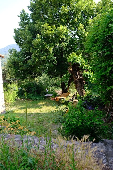 Beautiful house surrounded by nature - Cévennes