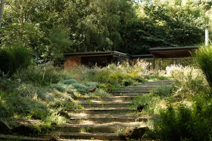 Bush House in the Dandenong Ranges gallery image 4