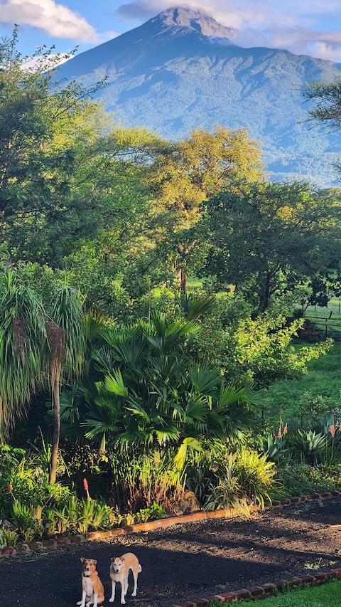 Nature Retreat - Bibi's Cottage new listing