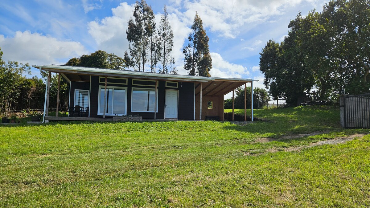 A modern single-story house is set in a lush green landscape, featuring large windows that allow natural light to fill the interiors. The porch extends across the front, providing shaded outdoor space, while tall trees create a backdrop, enhancing the rural serenity of the location.