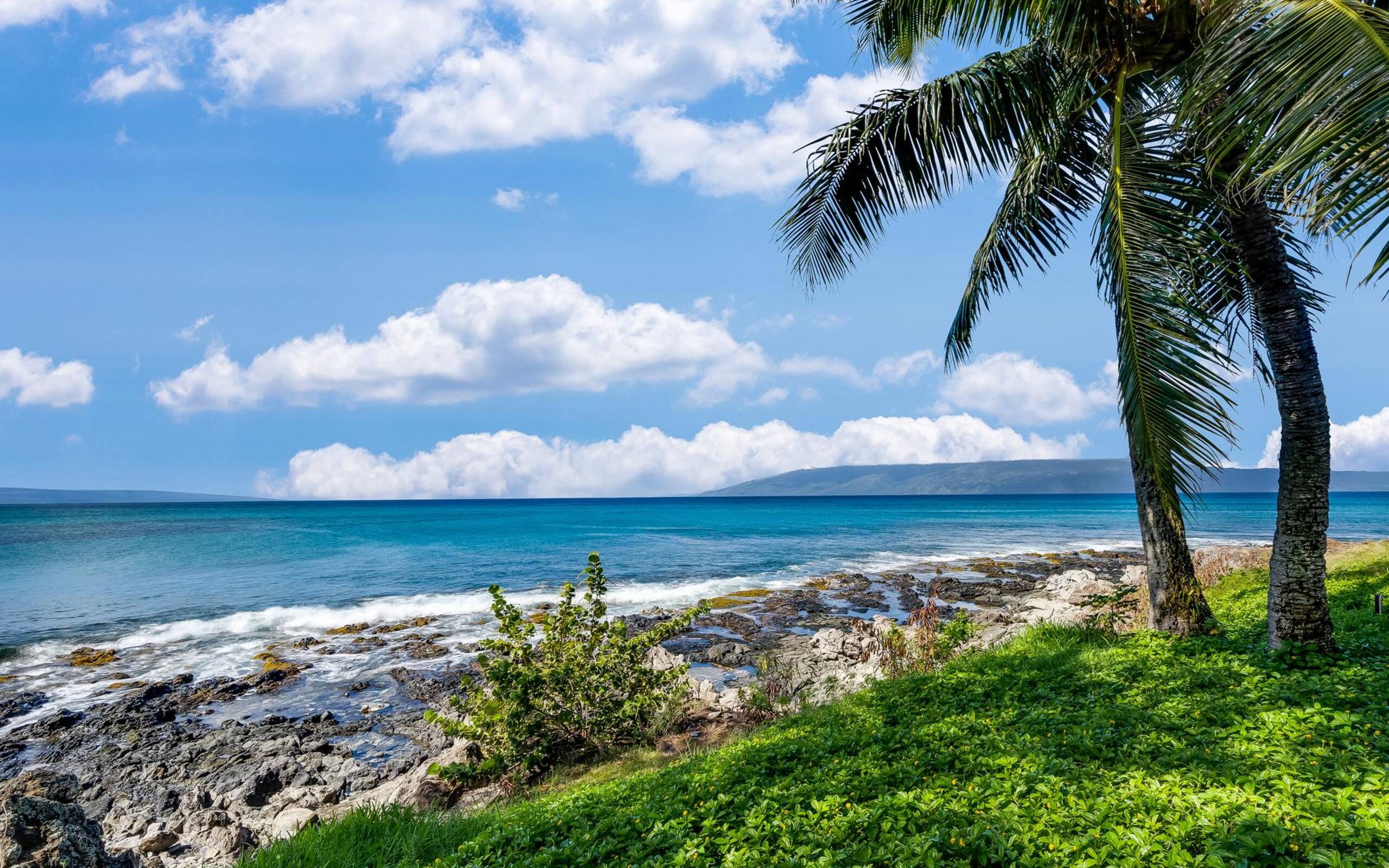 Condo in Lahaina · ★4.87 · 1 bedroom · 1 bed · 1 bath - Image 94