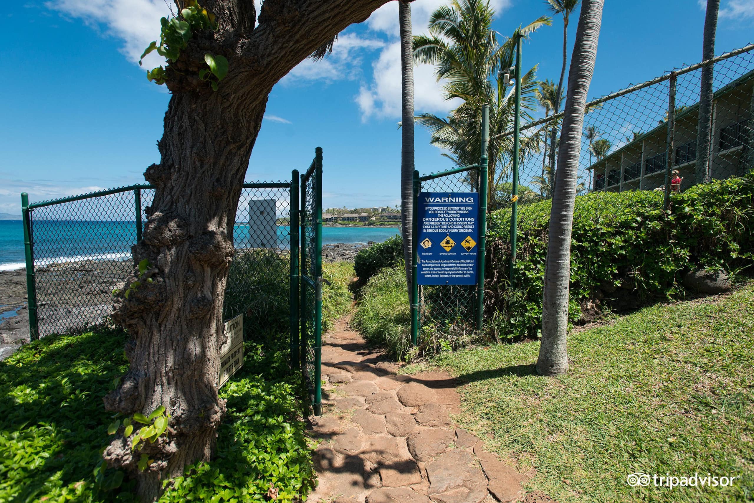 Condo in Lahaina · ★4.87 · 1 bedroom · 1 bed · 1 bath - Image 95