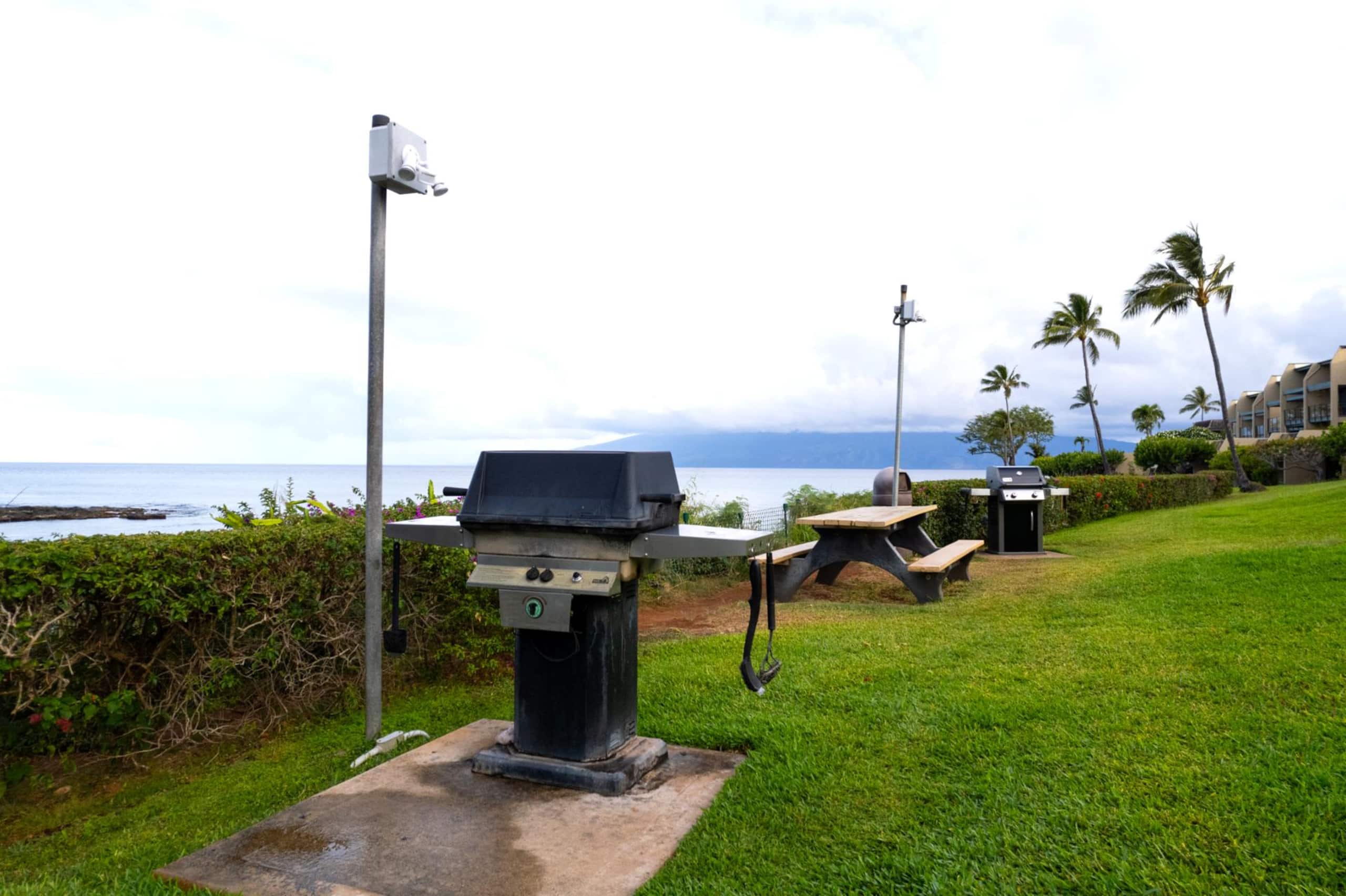 Condo in Lahaina · ★4.87 · 1 bedroom · 1 bed · 1 bath - Image 100