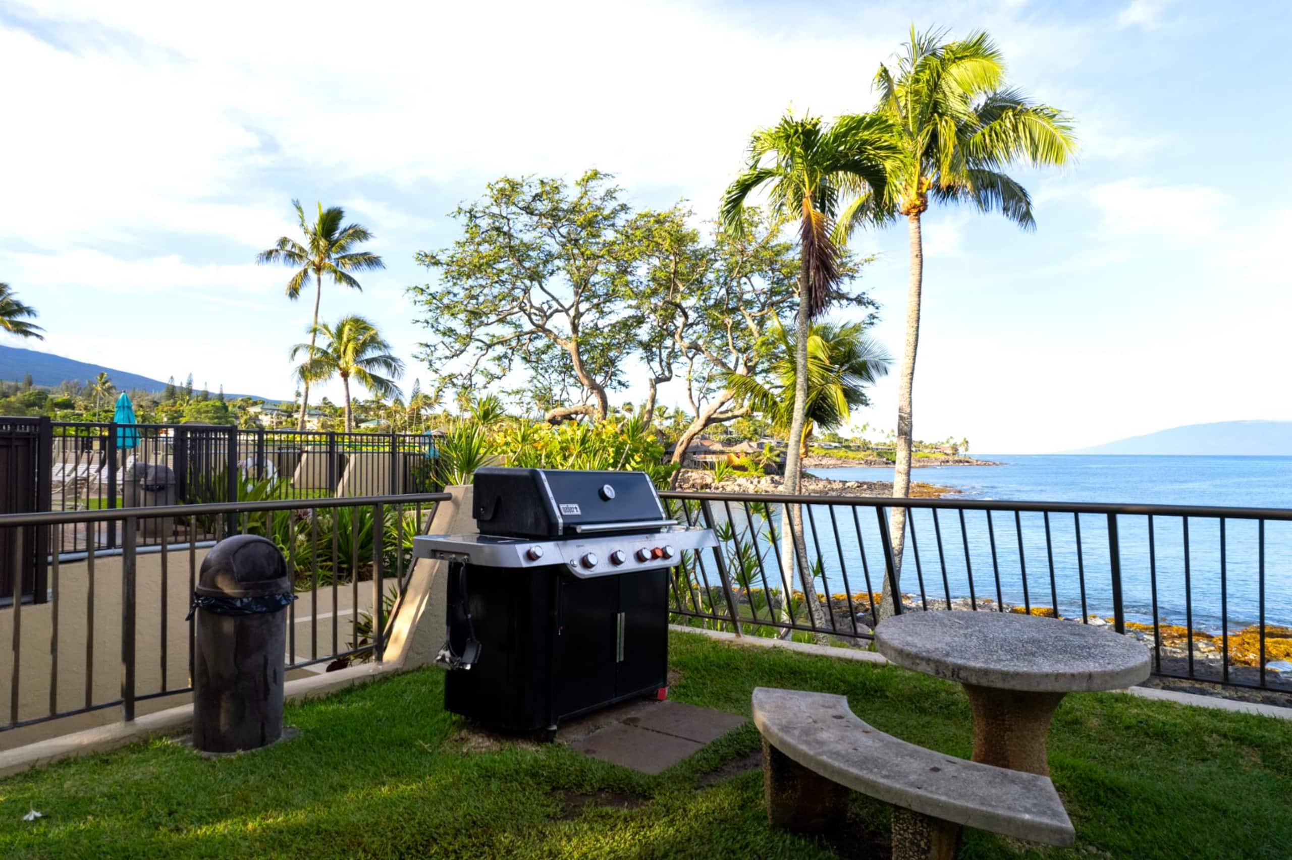 Condo in Lahaina · ★4.87 · 1 bedroom · 1 bed · 1 bath - Image 101