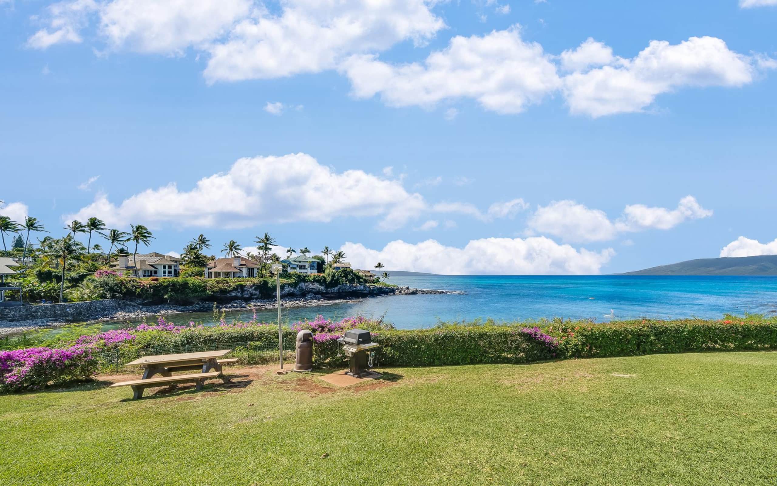 Condo in Lahaina · ★4.87 · 1 bedroom · 1 bed · 1 bath - Image 93
