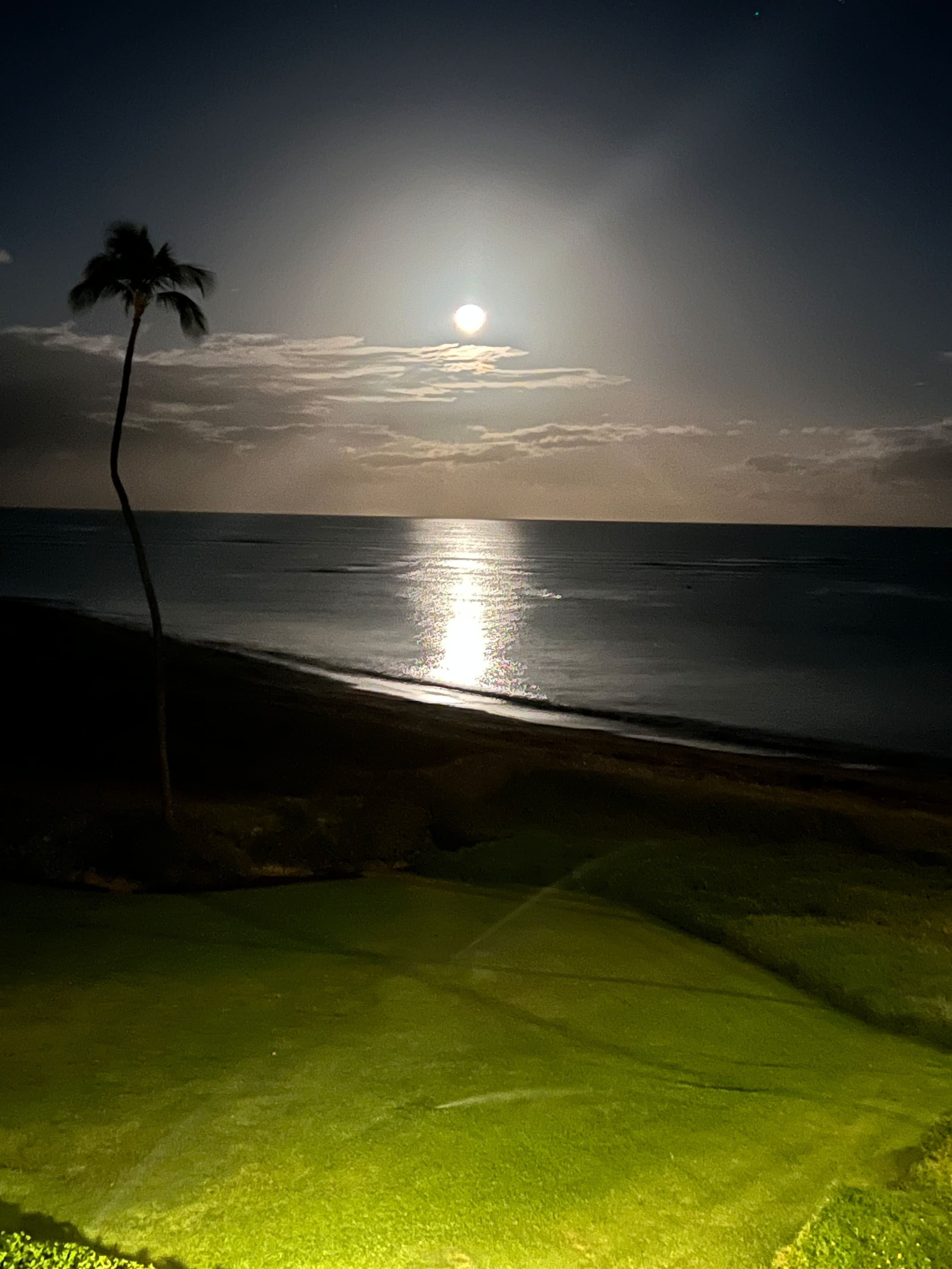 Condo in Kihei · ★4.86 · 2 bedrooms · 3 beds · 2 private baths - Image 22