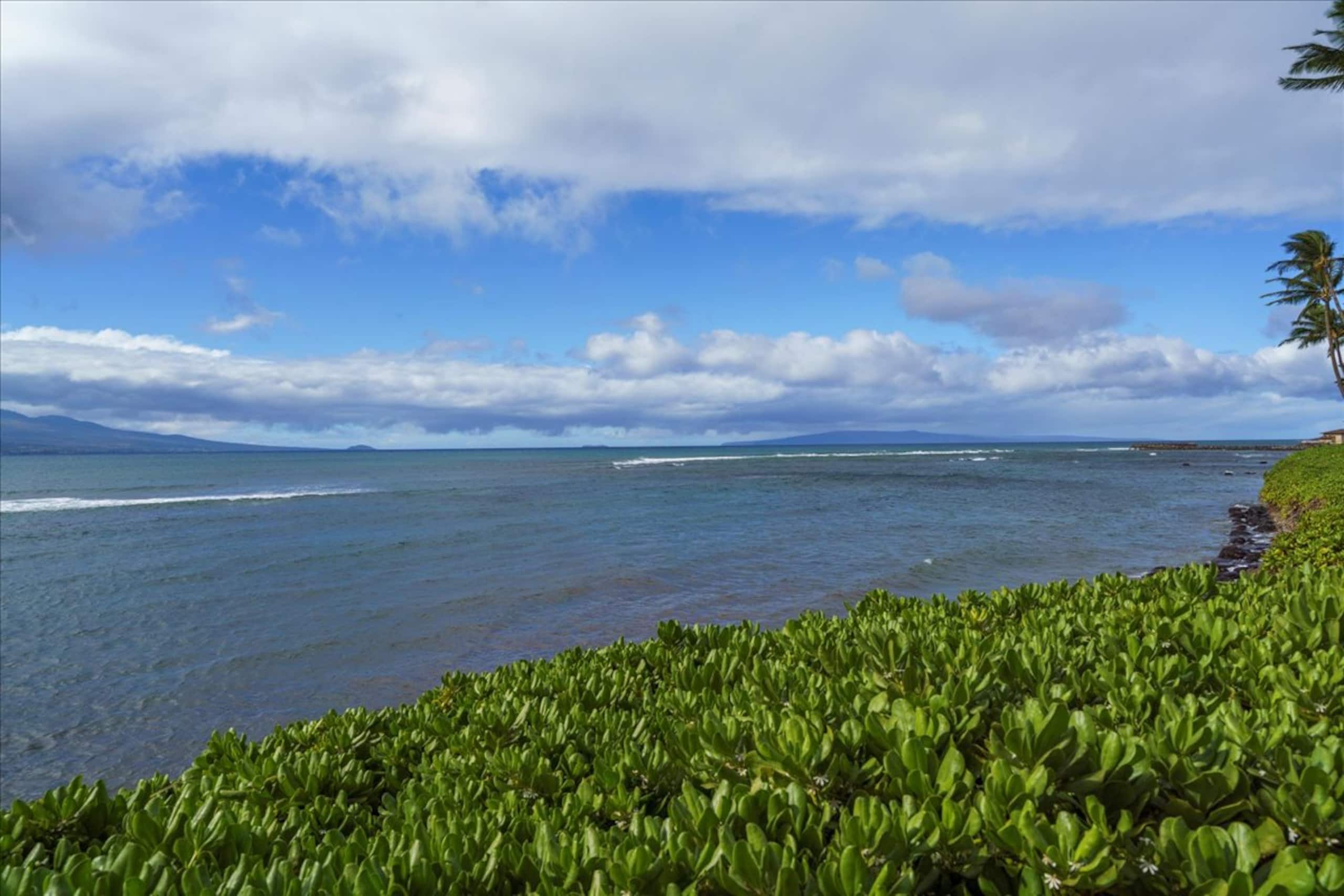 Luxury Remodeled Oceanfront—Huge Views— Sleeps 6 - Image 65