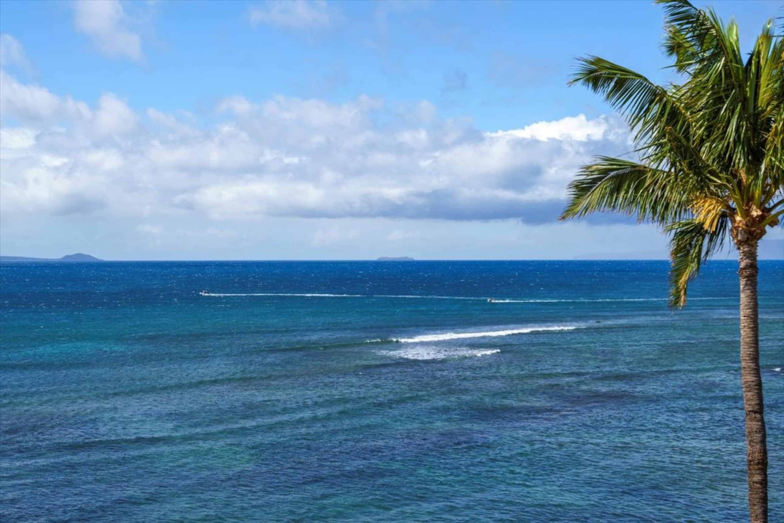Luxury Remodeled Oceanfront—Huge Views— Sleeps 6 - Image 60