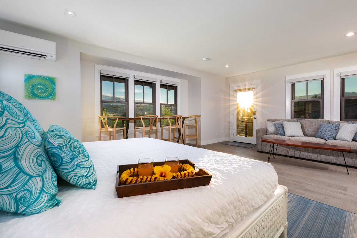 Estudio independiente con cama tamaño king y sofá cama tamaño queen