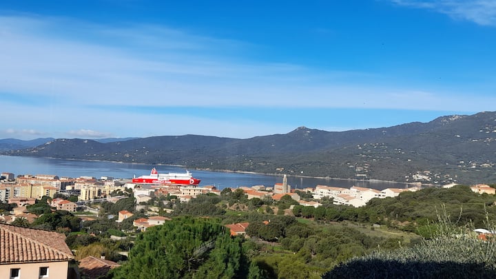 T2/ Vue Panoramique Mer à Couper Le Souffle - Propriano