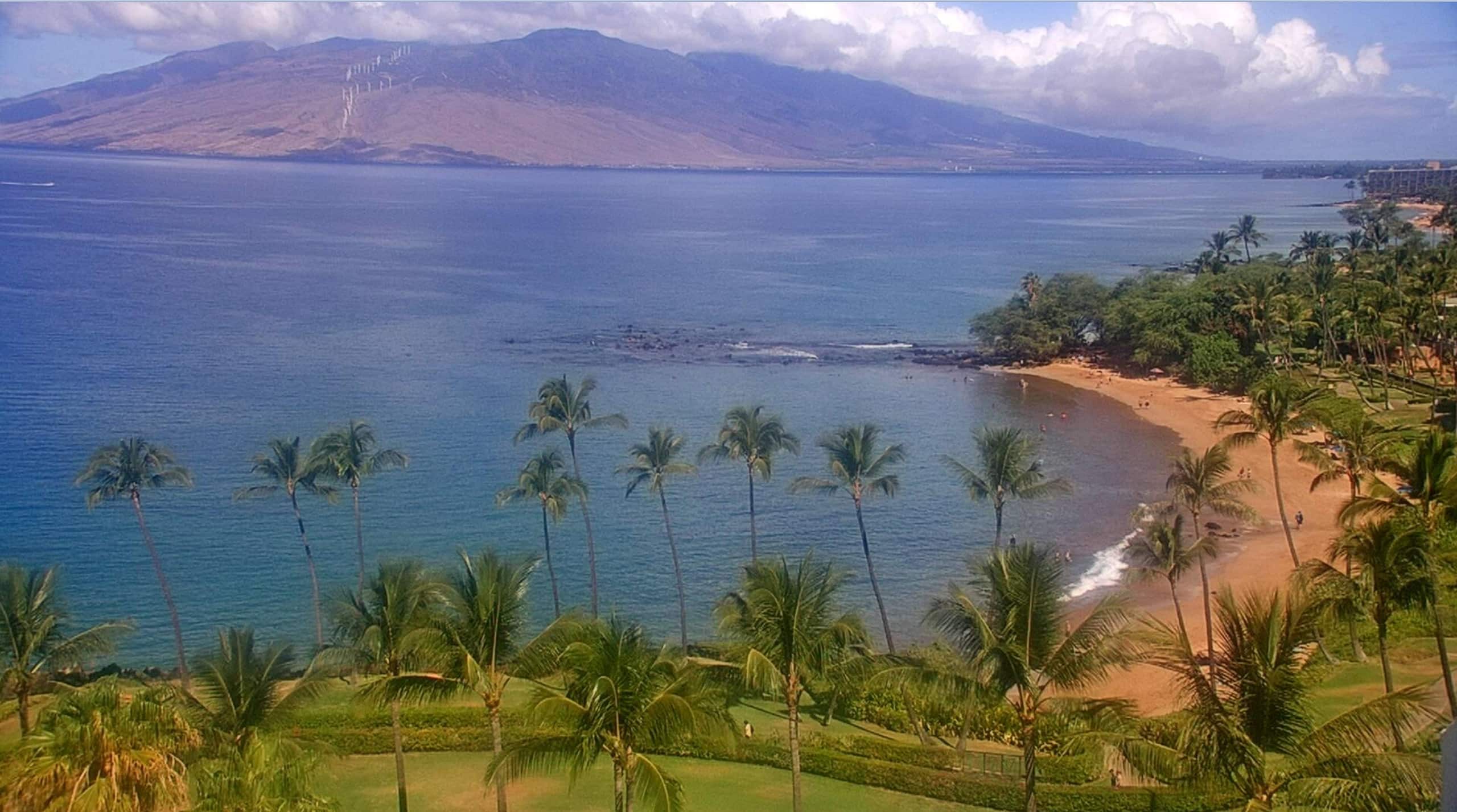 Condo in Kihei · ★5.0 · 1 bedroom · 2 beds · 2 baths - Image 80