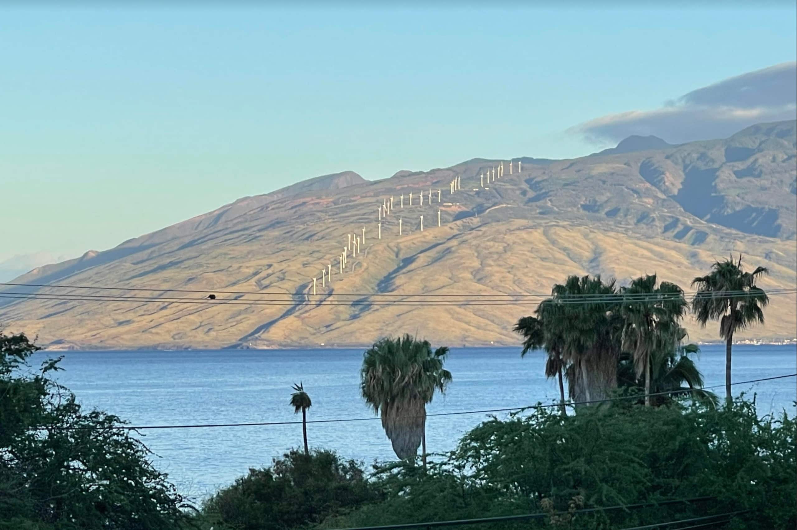 Condo in Kihei · ★5.0 · 1 bedroom · 2 beds · 2 baths - Image 1