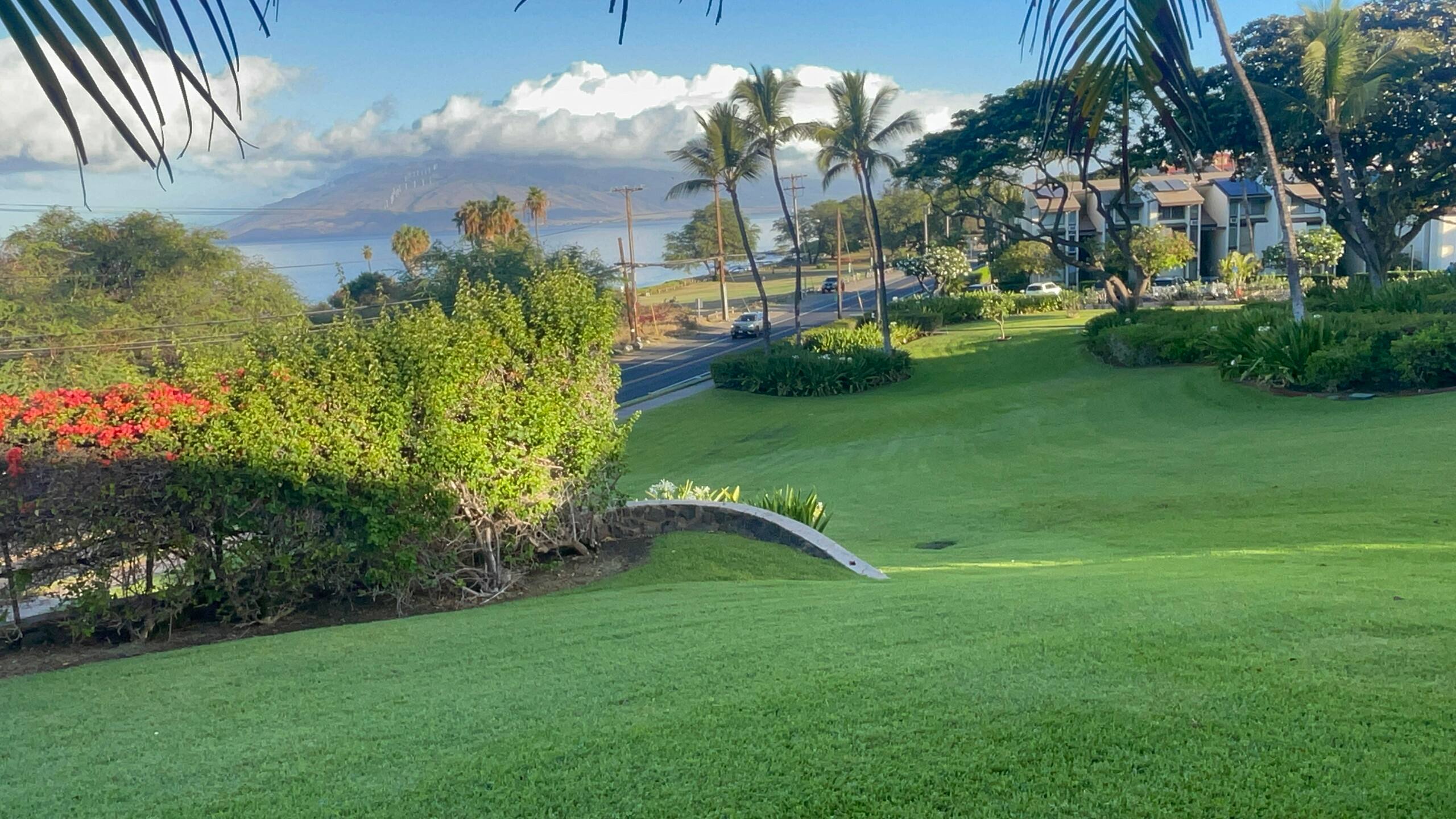 Condo in Kihei · ★5.0 · 1 bedroom · 2 beds · 2 baths - Image 41