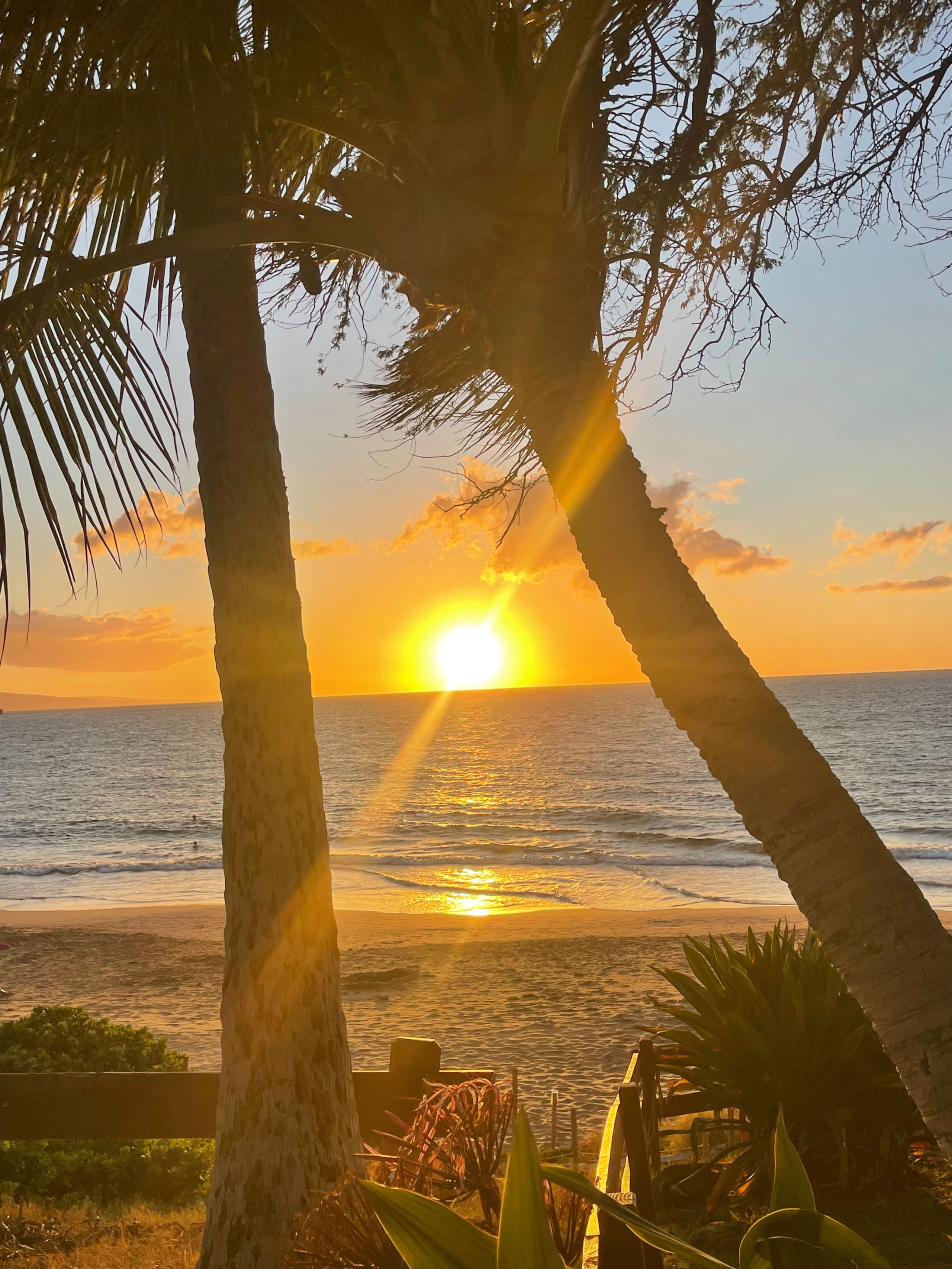 Condo in Kihei · ★5.0 · 1 bedroom · 2 beds · 2 baths - Image 79