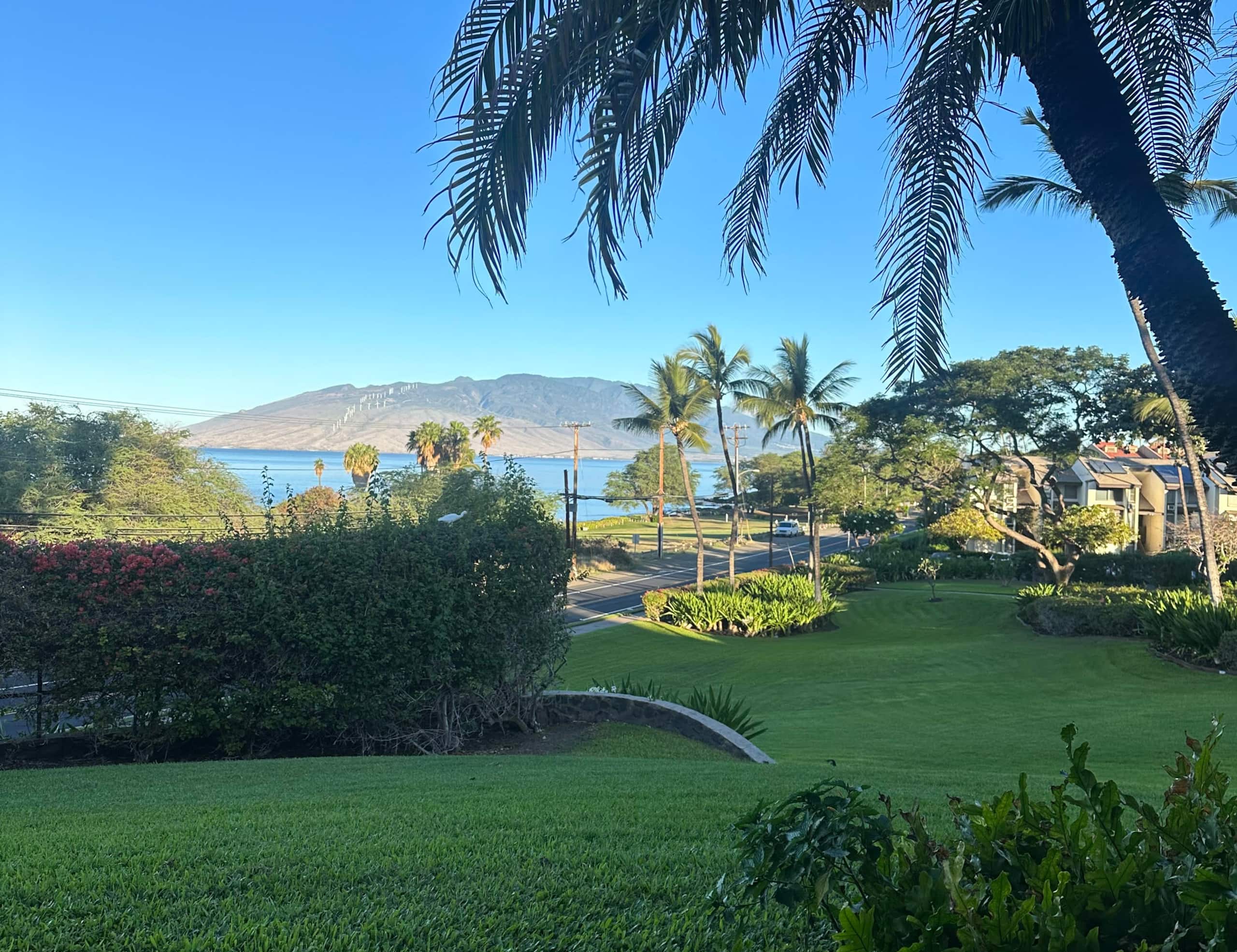 Condo in Kihei · ★5.0 · 1 bedroom · 2 beds · 2 baths - Image 38
