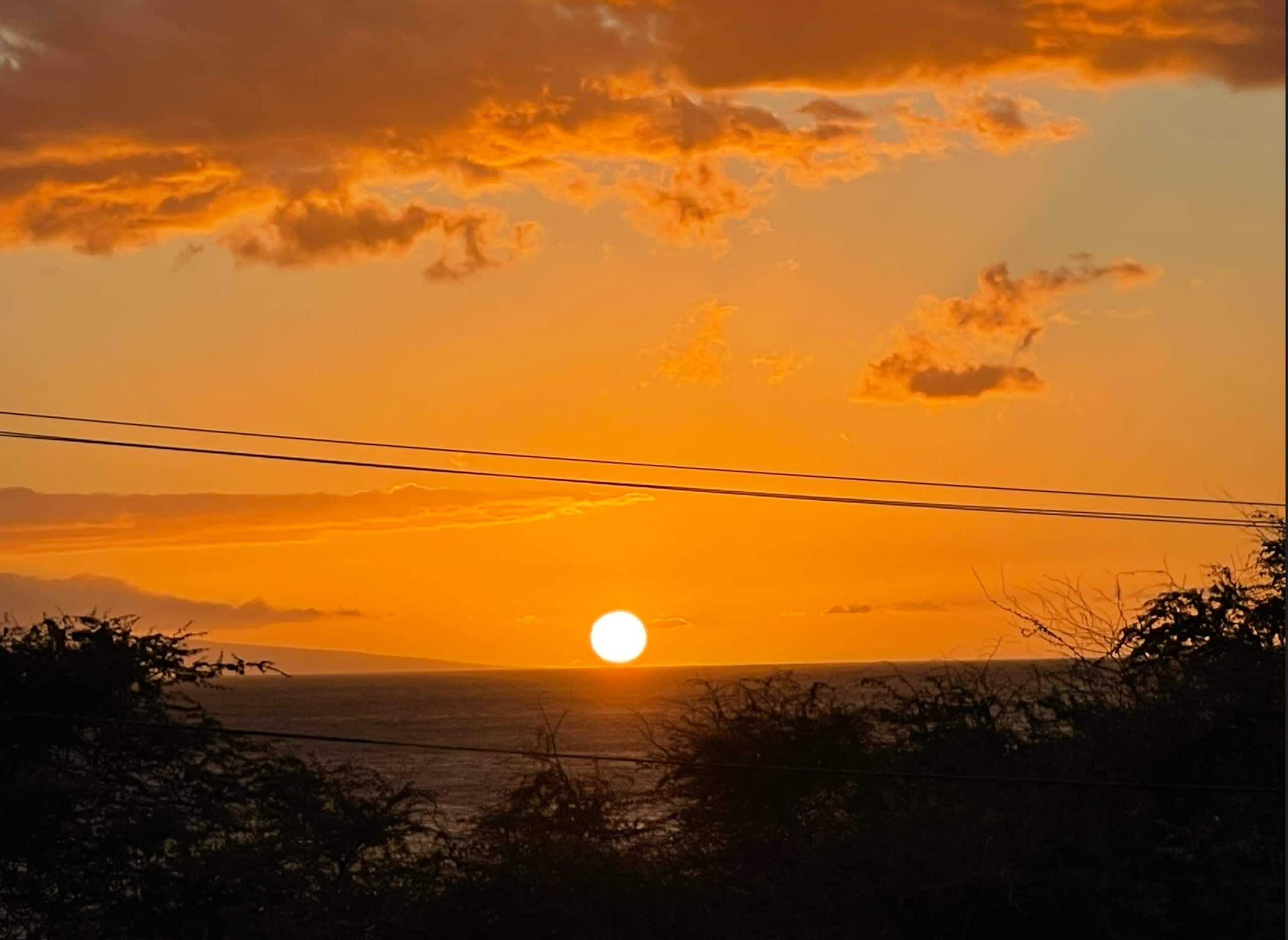 Condo in Kihei · ★5.0 · 1 bedroom · 2 beds · 2 baths - Image 44