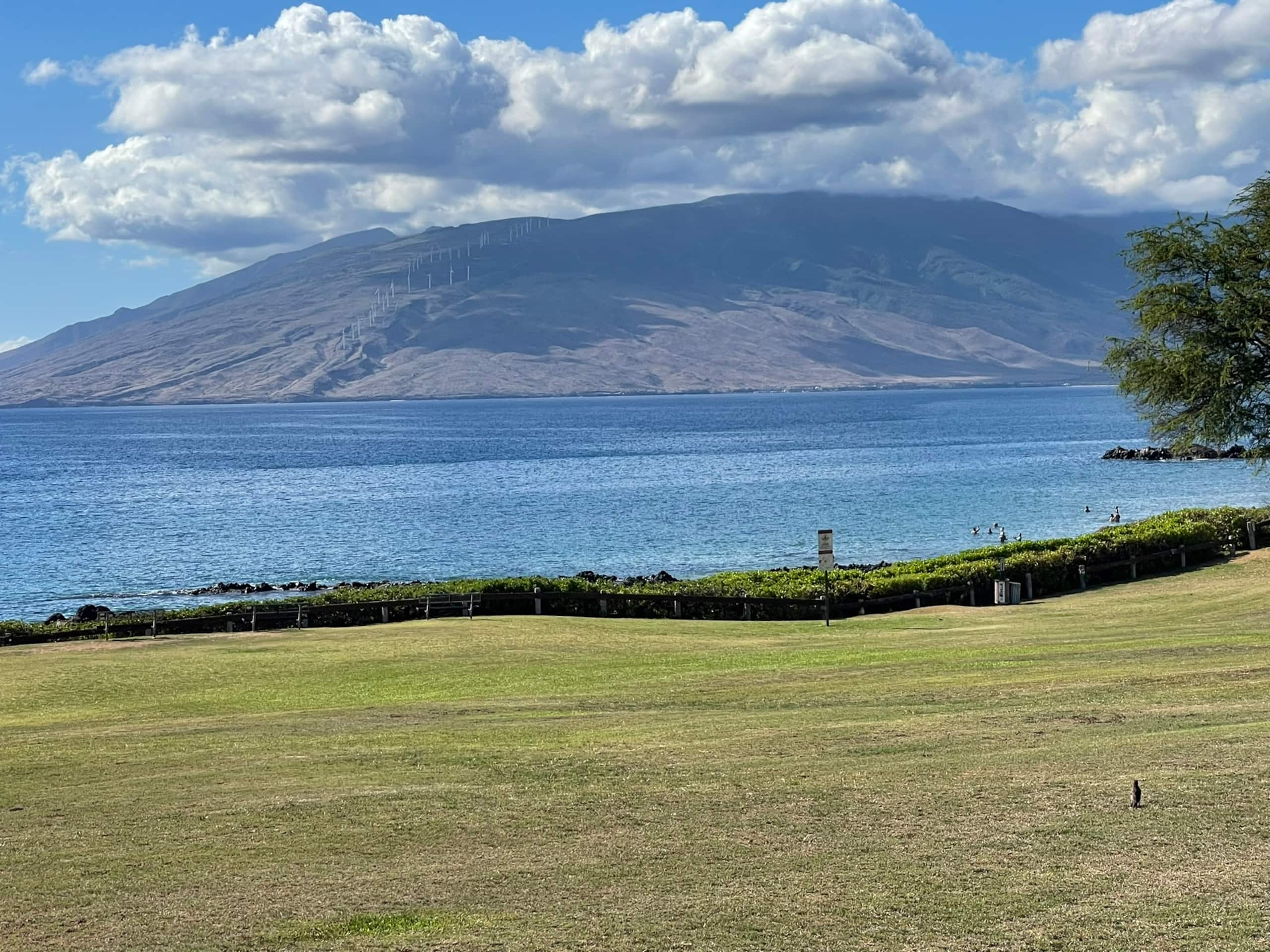 Condo in Kihei · ★5.0 · 1 bedroom · 2 beds · 2 baths - Image 75