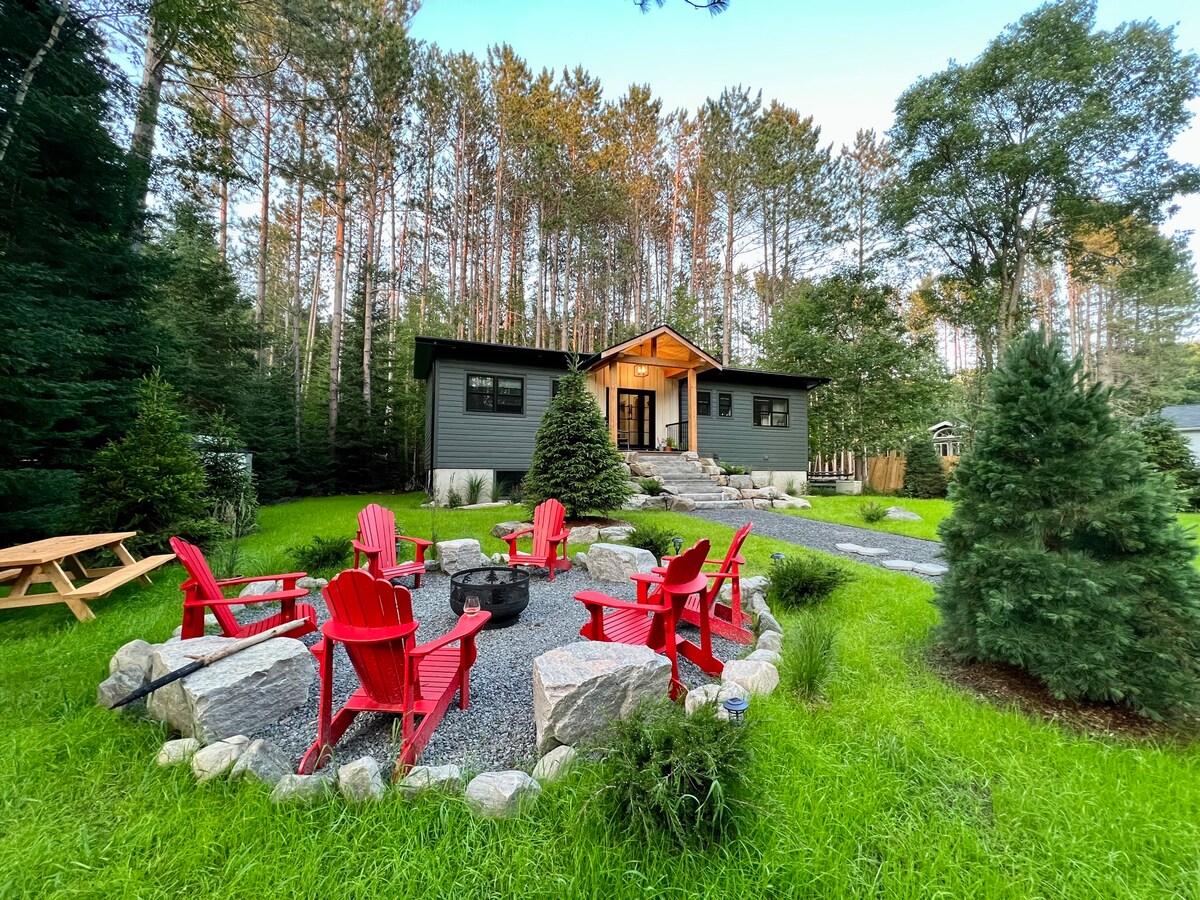 A cozy outdoor fire pit area is surrounded by vibrant red Adirondack chairs set on a circular stone pattern. Tall pine trees provide a natural backdrop, while a well-maintained lawn and scattered greenery enhance the inviting atmosphere of the cabin entrance.