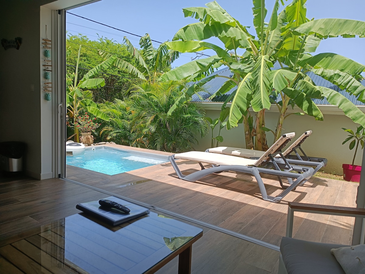 A spacious terrace opens up to a private mini pool surrounded by tropical plants. Two lounge chairs are positioned poolside, inviting relaxation. The area is brightened by natural light entering through large sliding doors that connect the indoor space to the outdoor setting.