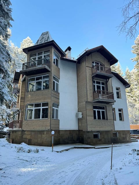 The Forest Villa Borovets