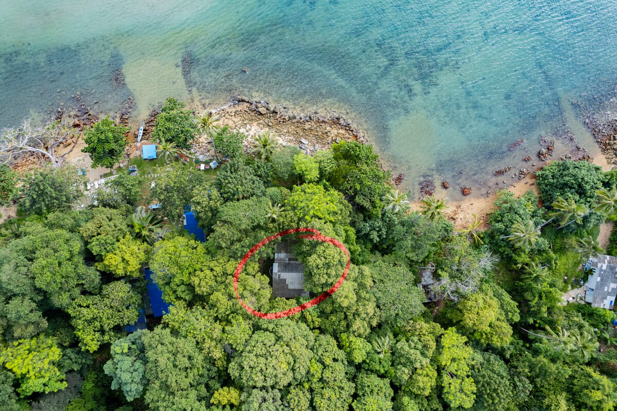 An aerial view showcases the house nestled among lush, high trees, creating a natural canopy. The proximity to the seaside is evident, with a rocky shoreline visible nearby. The serene environment offers a sense of privacy, surrounded by greenery.